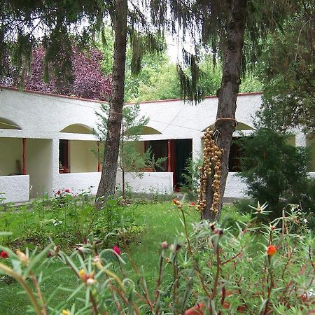 Pensiunea Ruxandra Venus Exterior photo